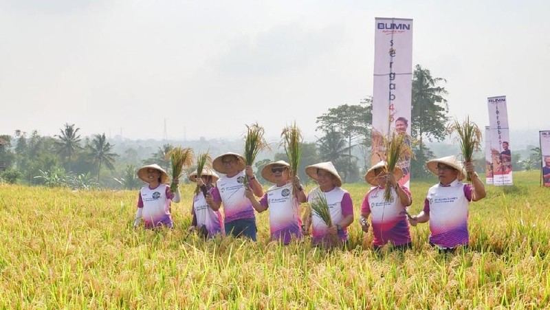 Serap gabah seberat 4,5 ton ini dilaksanakan di lahan seluas 6.500 m2