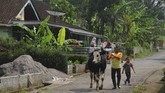 Warga melintas di Desa Urutsewu, Ampel, Boyolali, Jawa Tengah, Jumat (18/5). Desa Urutsewu menjadi salah satu desa mandiri energi gas yang mengembangkan energi Biogas Sapi, hasil inovasi bahan bakar gas buatan dari kotoran sapi. (ANTARA FOTO/Aloysius Jarot Nugroho)