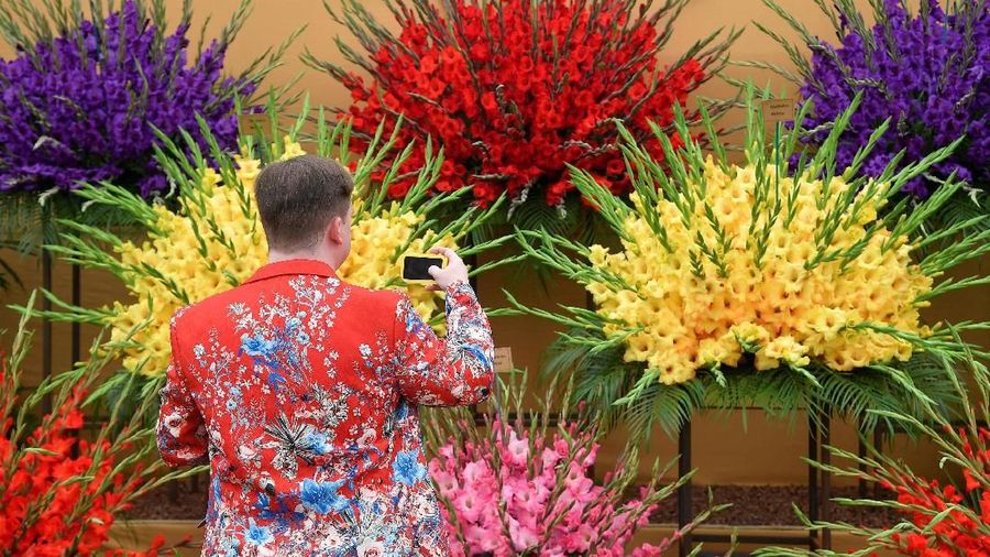 A man photographs a gladioli display at the RHS Chelsea Flower Show in London, Britain, May 21, 2018. REUTERS/Toby Melville