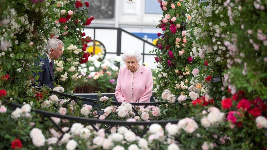 Chelsea Flower Show merupakan ajang pameran tanaman bergengsi di Inggris