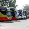 Ada 'Ledakan' Pemudik 2023, Pengusaha Bus Respons Begini