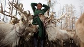 Dukha dan warga setempat lainnya memburu rusa liar untuk dijual ke China hingga hingga hewan-hewan itu menjadi langka. (REUTERS/Thomas Peter)