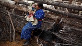 Belakangan, para penggembala Dukha khawatir mereka akan kehilangan identitas di tengah atura konservasi pemerintah yang melarang perburuan liar di tanah kelahiran mereka. (REUTERS/Thomas Peter)