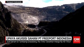 Upaya Akuisisi Saham PT Freeport Indonesia