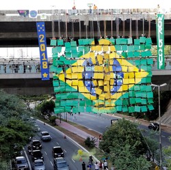 Brasil Catat Kematian Pertama di Dunia akibat Virus Oropouche