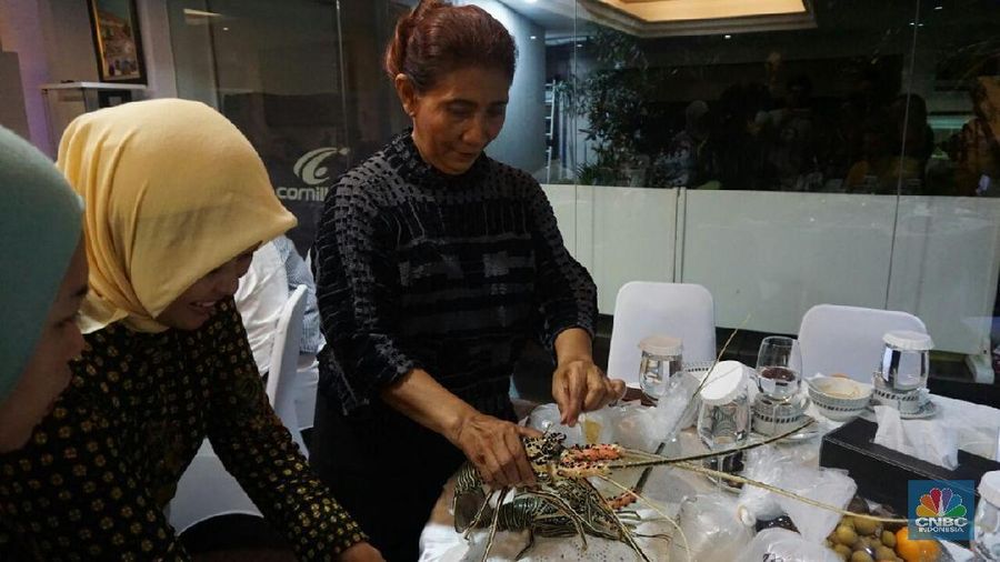 Bibit lobster itu dijual dengan harga sekitar Rp 30.000/ekor.