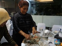 Menteri Susi Gagalkan Ekspor 389.591 Ekor Bibit Lobster