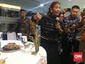 Susi Sebut Jual Lobster Ilegal Lebih Untung dari Jual Narkoba