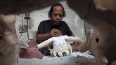 Ahli ukir asal Pulau Dewata, I Gede Parna (41), menciptakan ukiran seni dengan bahan baku tulang kepala kerbau yang sudah dikuliti dan dibersihkan. (Anadolu Agency/Mahendra Moonstar)