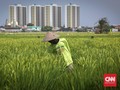 BRI Targetkan Penyaluran KUR Mikro Rp80 Triliun untuk Petani