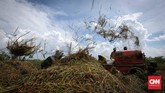 Aktivitas petani saat menggiling padi di areal persawahan kawasan Rorotan, Jakarta Utara, Kamis (24/5). (CNNIndonesia/Safir Makki)
