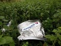 Bantah Rudal Rusia Tembak MH17, Putin Minta Ikut Penyelidikan