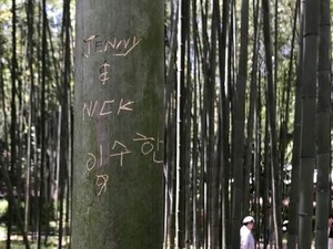 Tega, Keindahan Hutan Bambu Kyoto Dirusak Turis Nakal