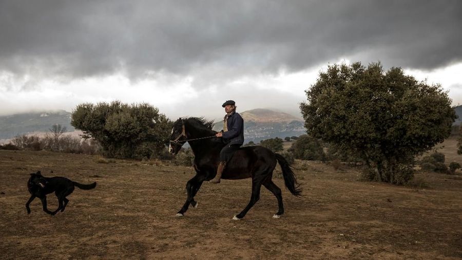 Fernando Noailles, emotional therapist, gallops on his horse named Madrid in Guadalix de la Sierra, outside Madrid, Spain, December 9, 2017. Noailles uses his animals to help people suffering from stress and anxiety. REUTERS/Juan Medina