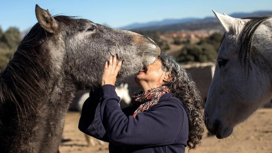 Loreto Garcia, patient of emotional therapist Fernando Noailles, embraces a horse in Guadalix de la Sierra, outside Madrid, Spain, December 4, 2017. Noailles uses his animals to help people suffering from stress and anxiety. REUTERS/Juan Medina SEARCH