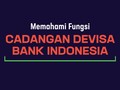 Memahami Fungsi Cadangan Devisa BI