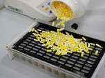 BPOM RI Cabut Izin Pakai Darurat 2 Obat Covid-19 Ini