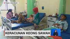 Puluhan Warga Keracunan Keong Sawah