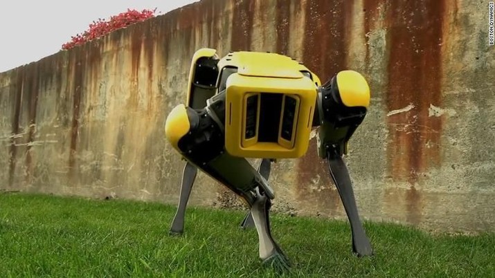robot anjing melakukan pengujian di medan berbatu