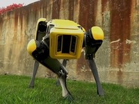 Di 2019, Bisa Jadi Kamu Akan Pelihara Robot Anjing
