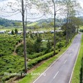 Jalan Pantai Selatan (Biro Komunikasi Publik Kementerian PUPR)