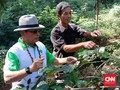 Petani Kopi Puntang Keluhkan Bantuan Pupuk pada KSP Moeldoko