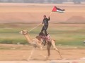 VIDEO: Saat Mortir dari Gaza Diadang Sistem Pertahanan Israel