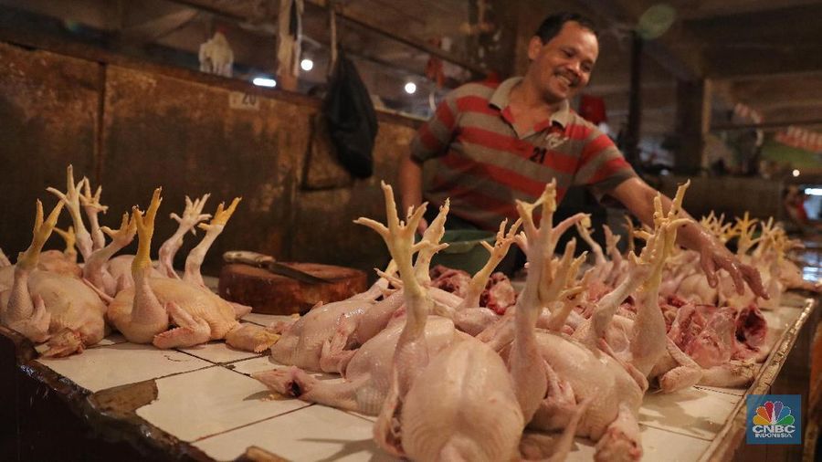 Jelang lebaran harga ayam disini naik hingga Rp. 5.000/kg untuk ayam negeri dari Rp. 35.000 menjadi Rp. 40.000/kg