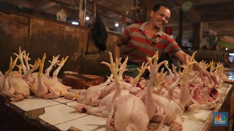 Jelang lebaran harga ayam disini naik hingga Rp. 5.000/kg untuk ayam negeri dari Rp. 35.000 menjadi Rp. 40.000/kg