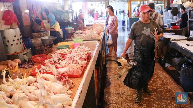 Jelang lebaran harga ayam disini naik hingga Rp. 5.000/kg untuk ayam negeri dari Rp. 35.000 menjadi Rp. 40.000/kg
