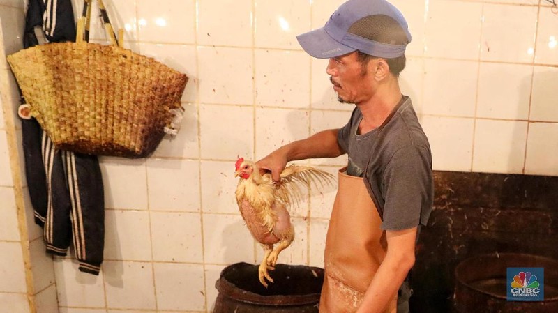 Jelang lebaran harga ayam disini naik hingga Rp. 5.000/kg untuk ayam negeri dari Rp. 35.000 menjadi Rp. 40.000/kg