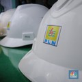Jokowi Minta PLN Tahan Impor, 35 Ribu MW Bakal Dievaluasi