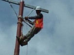 DMO Dicabut, PLN Berganti Nama Jadi 'Perusahaan Lilin Negara'
