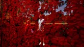 Bayangan seorang pria tercermin dalam monumen sementara yang terbuat dari 600 ribu bunga Poppy di National Mall di Washington DC, Amerika Serikat. (REUTERS/Carlos Barria)