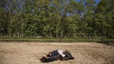 Fernando Noailles berbaring di atas kudanya yang dinamai Madrid. Noailles menggunakan hewan-hewan peliharaannya untuk membantu mereka-mereka yang dilanda kecemasan dan depresi. (REUTERS/Juan Medina)