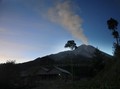 Gunung Merapi Embuskan Awan Panas Sejauh 1.200 Meter