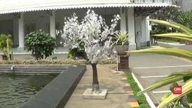 Pemprov DKI Akan Pasang Lagi Pohon Plastik
