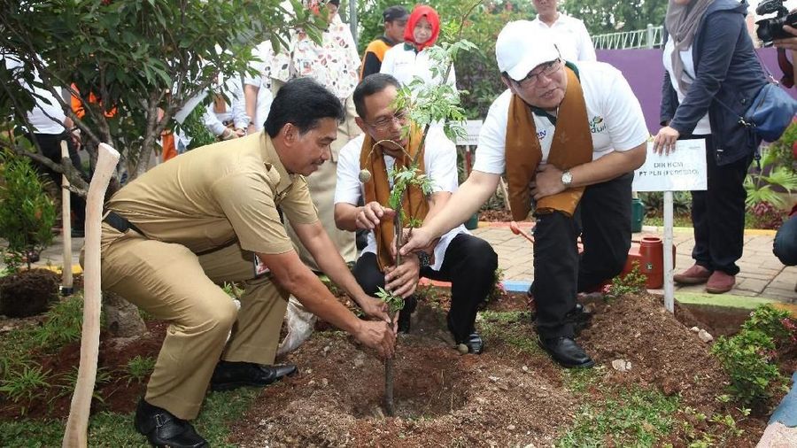 Program aksi ini menargetkan sebanyak 32.000 pohon ditanam oleh 32 unit kerja PLN se-Indonesia.