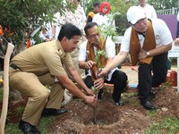Peringati Hari Lingkungan Hidup, PLN Tanam 32.000 Pohon