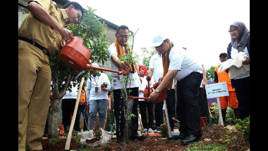 Program aksi ini menargetkan sebanyak 32.000 pohon ditanam oleh 32 unit kerja PLN se-Indonesia.