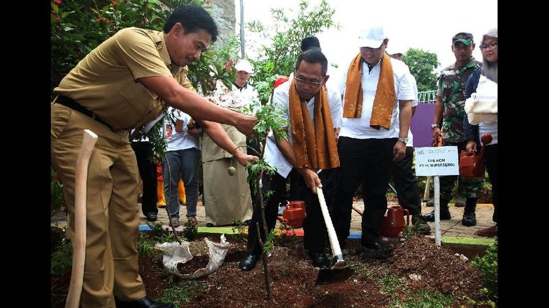 Program aksi ini menargetkan sebanyak 32.000 pohon ditanam oleh 32 unit kerja PLN se-Indonesia.