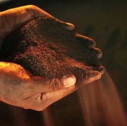 Wow! Produksi Bijih Nikel RI Ditargetkan 220 Juta Ton di 2025