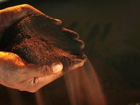 Harga Nikel Cs Naik Turun, Begini Jurus RI Bisa Bertahan