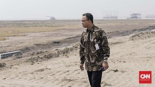 Anies Sebut 65 Persen Lahan Reklamasi Dikelola Jakpro