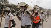 Bukan hanya manusia, hewan juga menjadi korban letusan Gunung Fuego, Guatemala, yang hingga saat ini sudah lebih dari sekali mengeluarkan lava panas. (Reuters/Luis Echeverria)