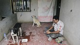 Menuruni gunung terjal, tim penyelamat mendatangi satu persatu rumah yang mereka lewati, memeriksa keberadaan hewan di dalamnya. (Reuters/Luis Echeverria)