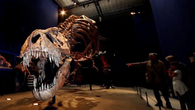Ahli Temukan Bukti Baru Asal-Usul Raja Dinosaurus