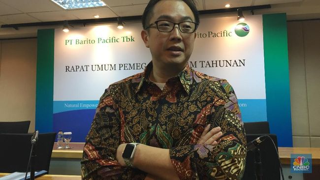 BRPT Ini Penyebab Laba Bersih BRPT Terbang 160%