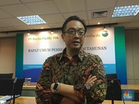 Ini Penyebab Laba Bersih BRPT Terbang 160%