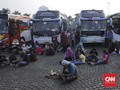 Kemenhub Buka Pendaftaran Mudik Gratis Mulai Rabu Besok